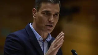 Pedro Sánchez este martes en el Senado