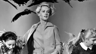 Fotograma de la película 'Los pájaros' (1963).