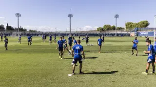 La plantilla del Real Zaragoza, entrenando sobre en nuevo césped de su campo de entrenamiento.