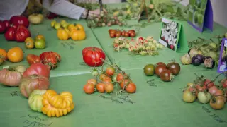 La edición de 2020 se saldó con la victoria de una variedad antigua de tomate verde