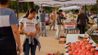 Feria de la Fruta del Valle del Manubles.