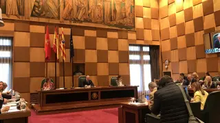 Pleno del Ayuntamiento de Zaragoza, este viernes.