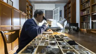 Miguel Calvo Rebollar estudia uno de los ejemplares que componen su colección de minerales