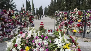 Flores en el Cementerio de Torrero de Zaragoza. gsc