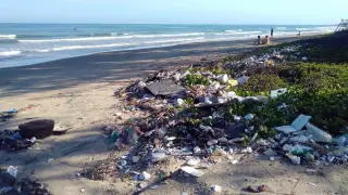 El vertido de plásticos y sustancias contaminantes a las aguas destruye los ecosistemas.