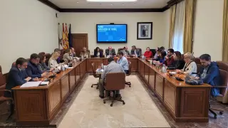 Un momento del pleno extraordinario celebrado este jueves por la Diputación Provincial de Teruel.