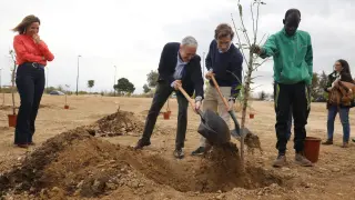 Azcón y Martínez Almeida plantan un árbol en el Bosque de los zaragozanos
