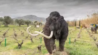 Recreación de un mamut en primer plano y dinosaurios al fondo, en el parque de dinosaurios de Atenas (Grecia).