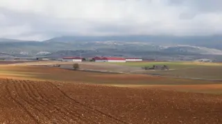 Cultivos de cereal en la provincia de Teruel.