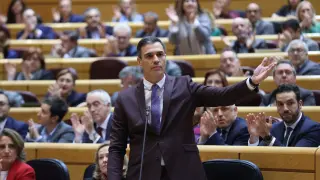 Pedro Sánchez en el Pleno del Senado