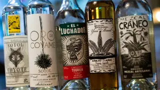Destilados del agave: el tequila, el mezcla, la bacanora o el sotol.]