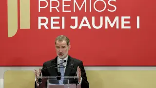 Felipe VI en la entrega de Premios Rei Jaume I.