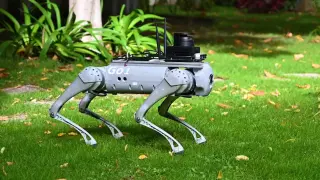 Perro robot desarrollado por investigadores del CSIC