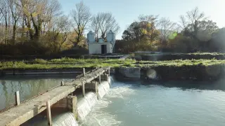 En España, el sector genera cada año más de 300.000 toneladas de productos de acuicultura, lo que convierte al país en líder en la Unión Europea.