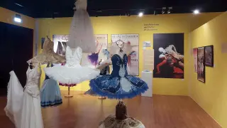 Exposición ‘CISNES. Cien años de danza complementaria en Zaragoza’.