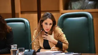La concejal de Hacienda, María Navarro, en la comisión de Hacienda de este lunes.