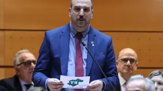 Joaquín Egea, de Teruel Existe, en el pleno en el Senado