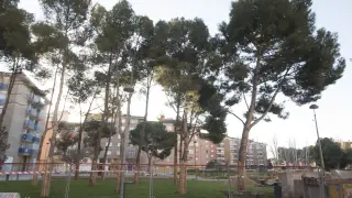 Arbolado del parque de San Martín de Huesca.