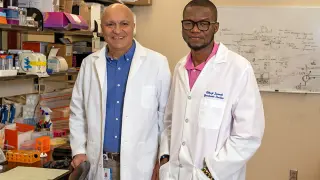 Alhaji Janneh, a la derecha, un estudiante de posgrado en el laboratorio del Dr. Besim Ogretmen, autor principal de este nuevo artículo.