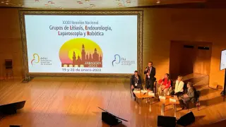 Inauguración en Zaragoza de la XXXII Reunión Nacional de los Grupos de Litiasis y de Endourología, Laparoscopia y Robótica,