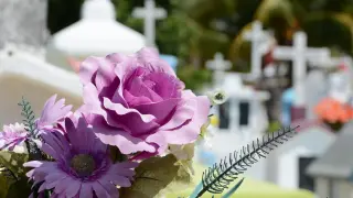 Imagen de archivo de flores en un cementerio