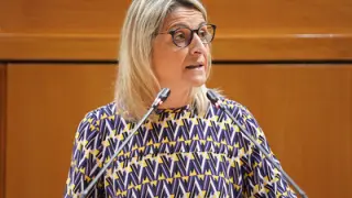 La diputada socialista Pilimar Zamora durante un intervención en las Cortes de Aragón