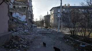 Zona afectada por los ataques rusos en la ciudad de Lyman