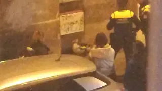 Un pato causa revuelo en las calles de Zaragoza