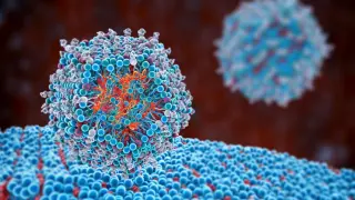 Las vacunas de ARN, que protagonizaron la lucha frente a la covid-19, se ensayan también contra el cáncer.