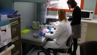 Técnicos del Laboratorio de la Unidad de Diagnóstico e Inspecciones Fitosanitarias, en plena labor investigadora.