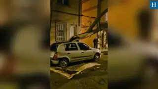 Un árbol chafa un coche en Zaragoza por las fuertes rachas de cierzo