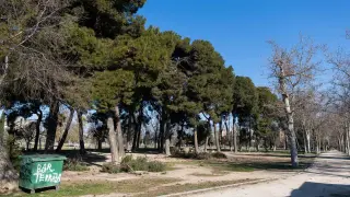 Preparativos de la cincomarzada en el Parque Tío Jorge de Zaragoza.