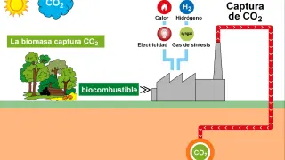 Bioenergía con Captura y Almacenamiento de CO2 (de sus siglas en inglés BECCS).