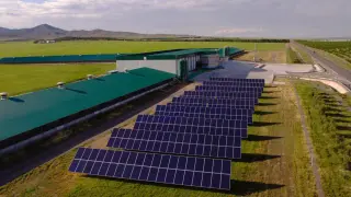 plantas fotovoltaicas granjas comarcas Valdejalón y Aranda