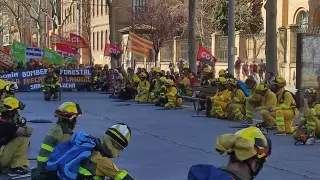 Manifestación de los bomberos forestales de Sarga en Zaragoza por la precariedad en las condiciones de trabajo