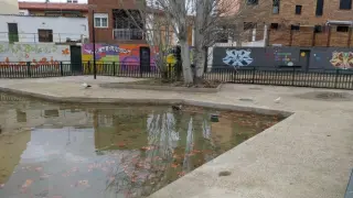 estanque Miralbueno plaza Paco Lacasa