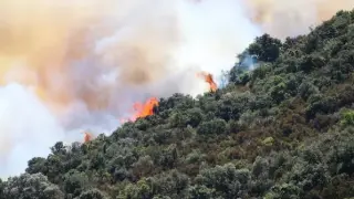 La proliferación de bosques y matorrales aumenta el riesgo de incendios. Fuego cerca de Llançà (Gerona), en julio de 2021.