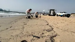 Labores de limpieza de restos de hidrocarburo en la playa de El Rinconcillo de Algeciras (Cádiz).