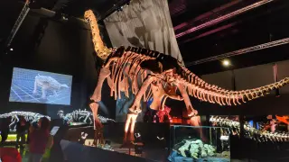 Sala de los dinosaurios del Museo Paleontológico de Dinópolis