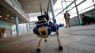 Un perro-robot con inteligencia artificial: un apoyo seguro para invidentes