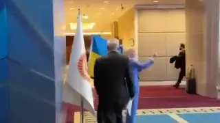 La delegación rusa y ucraniana, a puñetazo limpio en Turquía durante la Asamblea de Cooperación de países del Mar Negro
