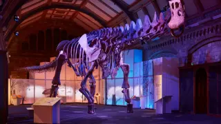 réplica de un Patagotitan mayorum en Londres, dinosaurio