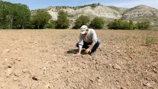 Joaquín Biel, de Villalba Baja, muestra un campo que ha quedado sin sembrar por falta de agua.