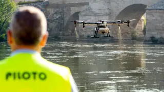 Zaragoza refuerza los tratamientos contra la mosca negra con drones.