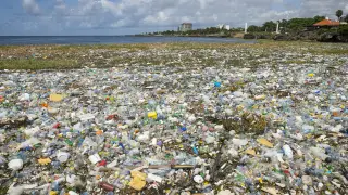 Miles de envases plásticos flotan en la playa Montesinos (República Dominicana).