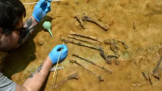 Hallan el esqueleto completo de un ave de hace 3,1 millones de años en Caldes de Malavella (Gerona)