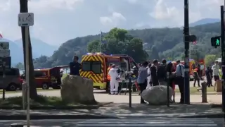 Dos niños y un adulto muy graves tras ser apuñalados en un parque al este de Francia