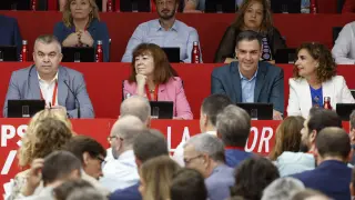 Pedro Sánchez, durante la celebración, este sábado, del Comité Federal del PSOE en Madrid.