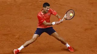 Djokovic French Open(45946214)