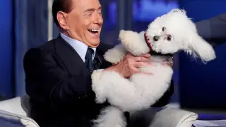 FILE PHOTO: Italy's former PM Berlusconi plays with a dog during the television talk show "Porta a Porta" in Rome